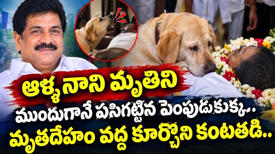 Oktelugu Epaper